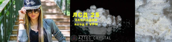 прущие грибы Осташков