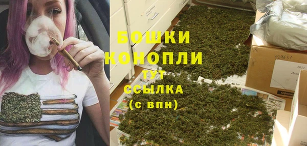 стафф Корсаков