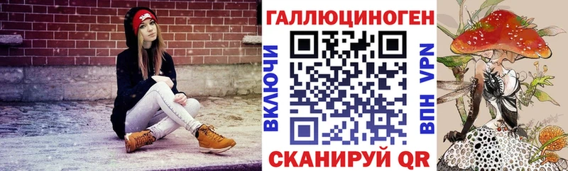 Галлюциногенные грибы Psilocybe  Руза 